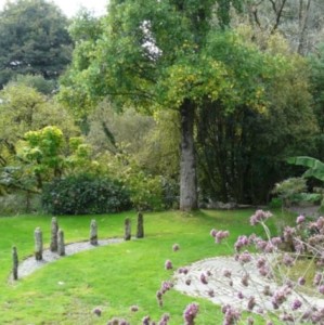 Photograph of a garden with some granite standing stones