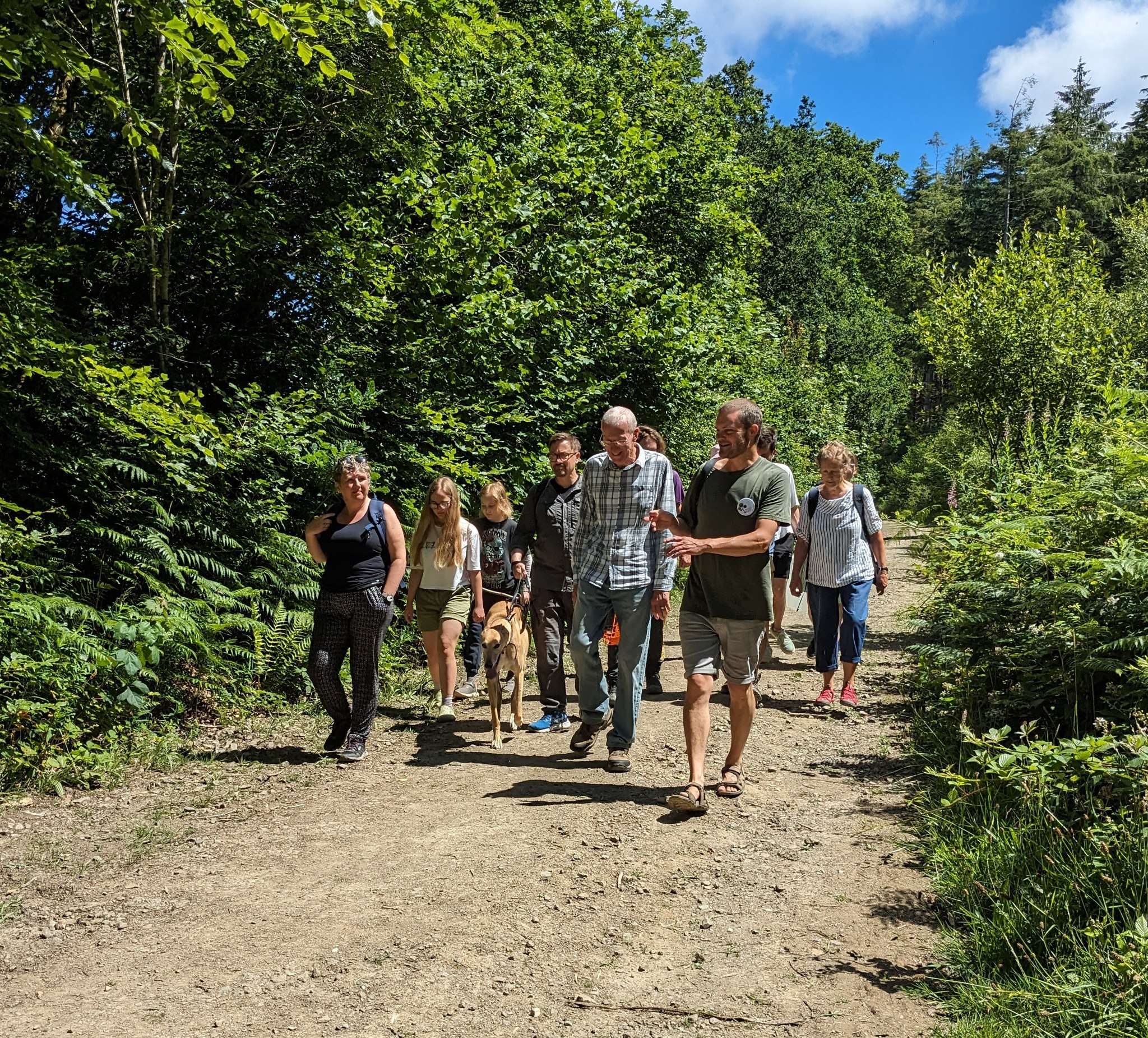 Visit Liskeard Events High Wood Open Day