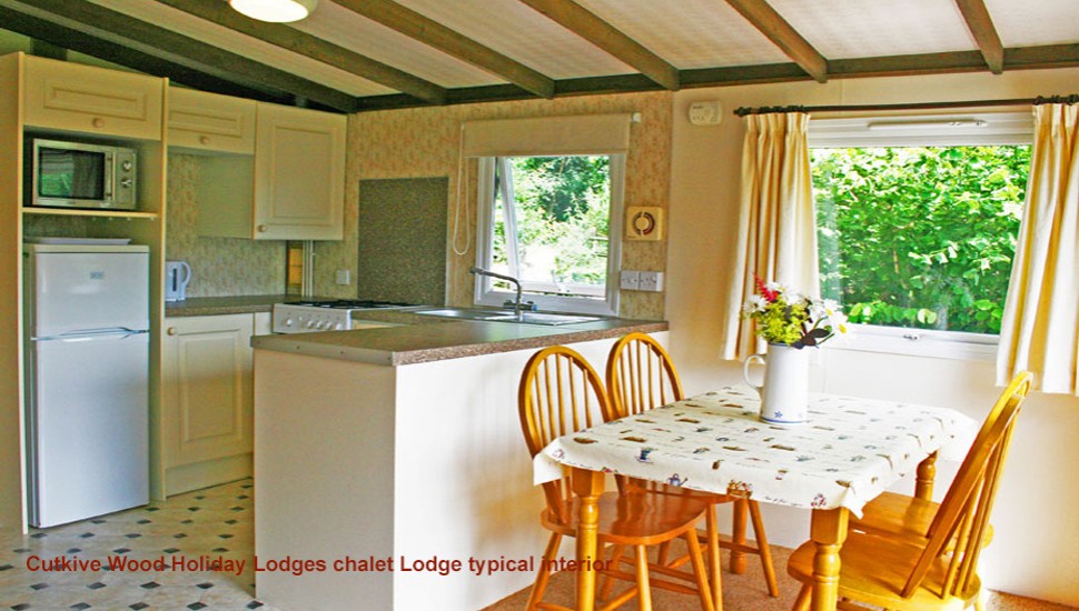 Cutkive Wood Holiday Lodges - liskeard-visit 18