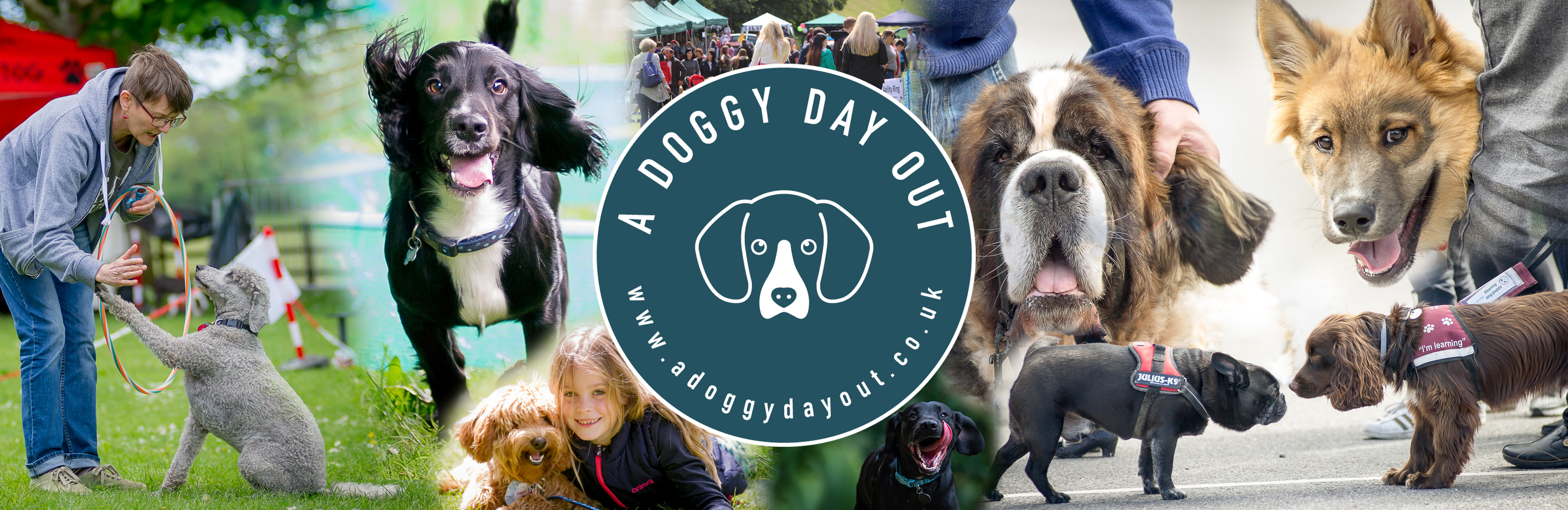 The Big Doggy Day Out Festival Liskeard Visit 18   Doggy Day Out Banner 