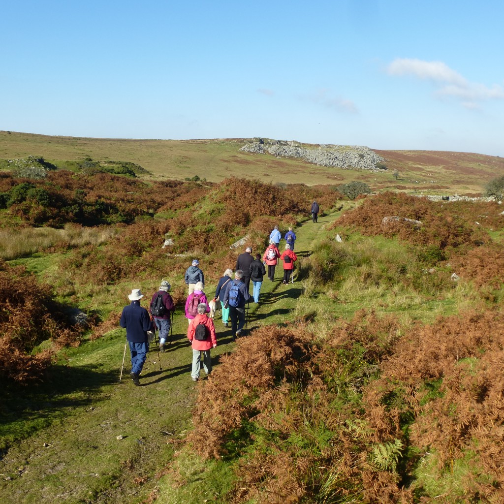 Visit Liskeard | Events | Rosedean House Surgery Walking Group