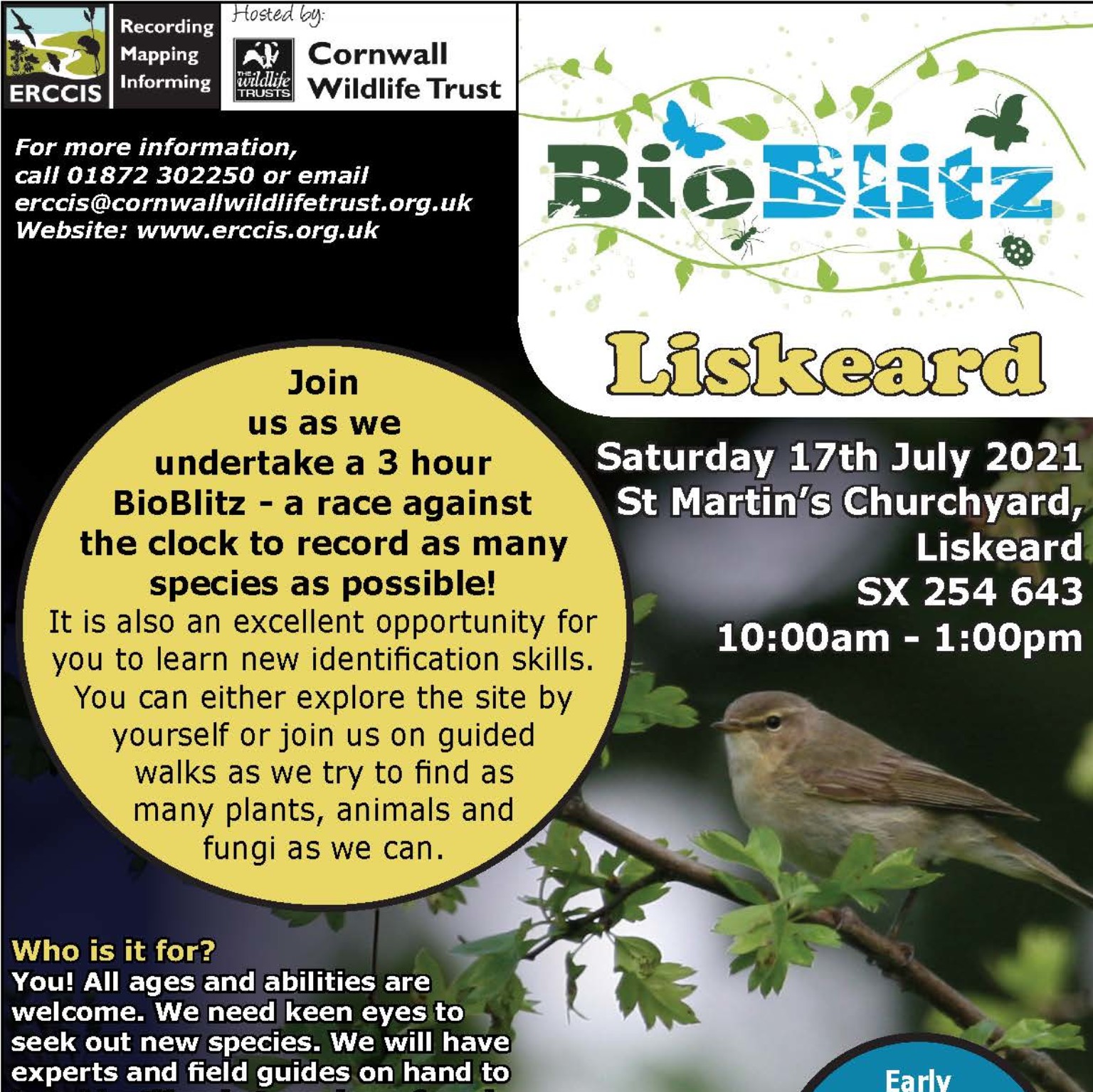 Bio Blitz at St Martin's Churchyard - liskeard-visit 18